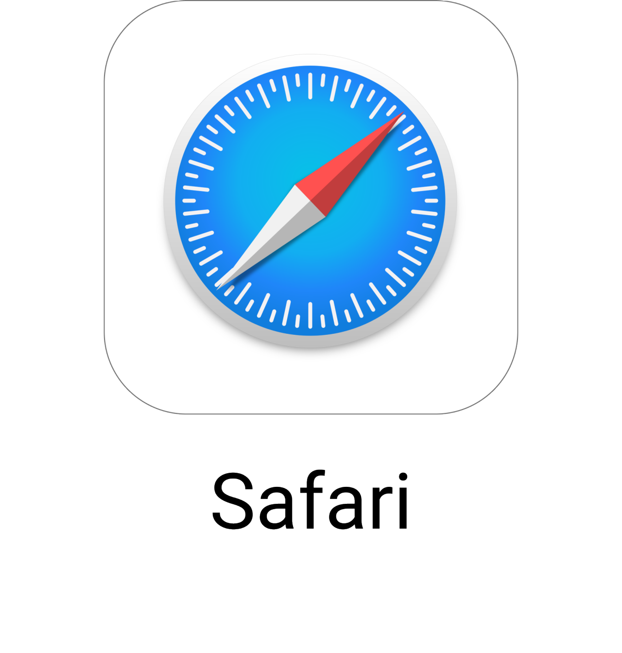 safari
