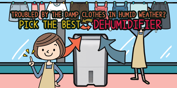 pick the best dehumidifier en banner