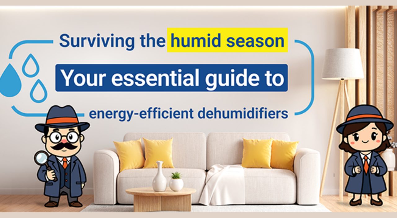 Stunning Warm Apartment Renovation Ideas For Energy Efficiency image