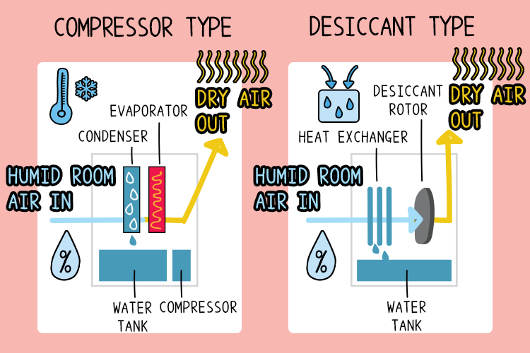 pick the best dehumidifier en 1